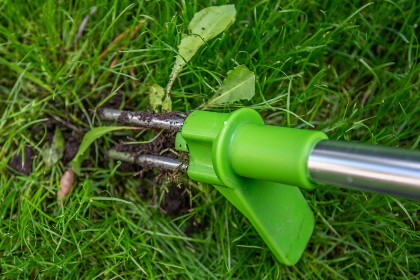 VERTO 15G450 USUWACZ / WYRYWACZ DO CHWASTÓW 100CM Marka Verto