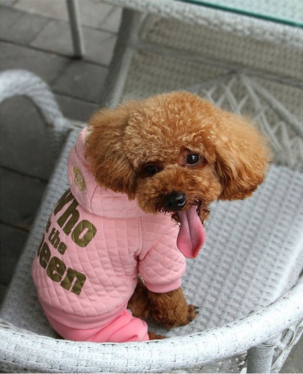 Levně Dobaz zateplená tepláková kombinéza, pudrová růžová S