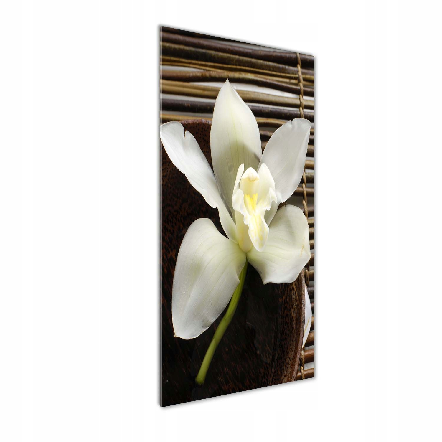 

Foto-obraz szkło hartowane Orchidea 50x125 cm