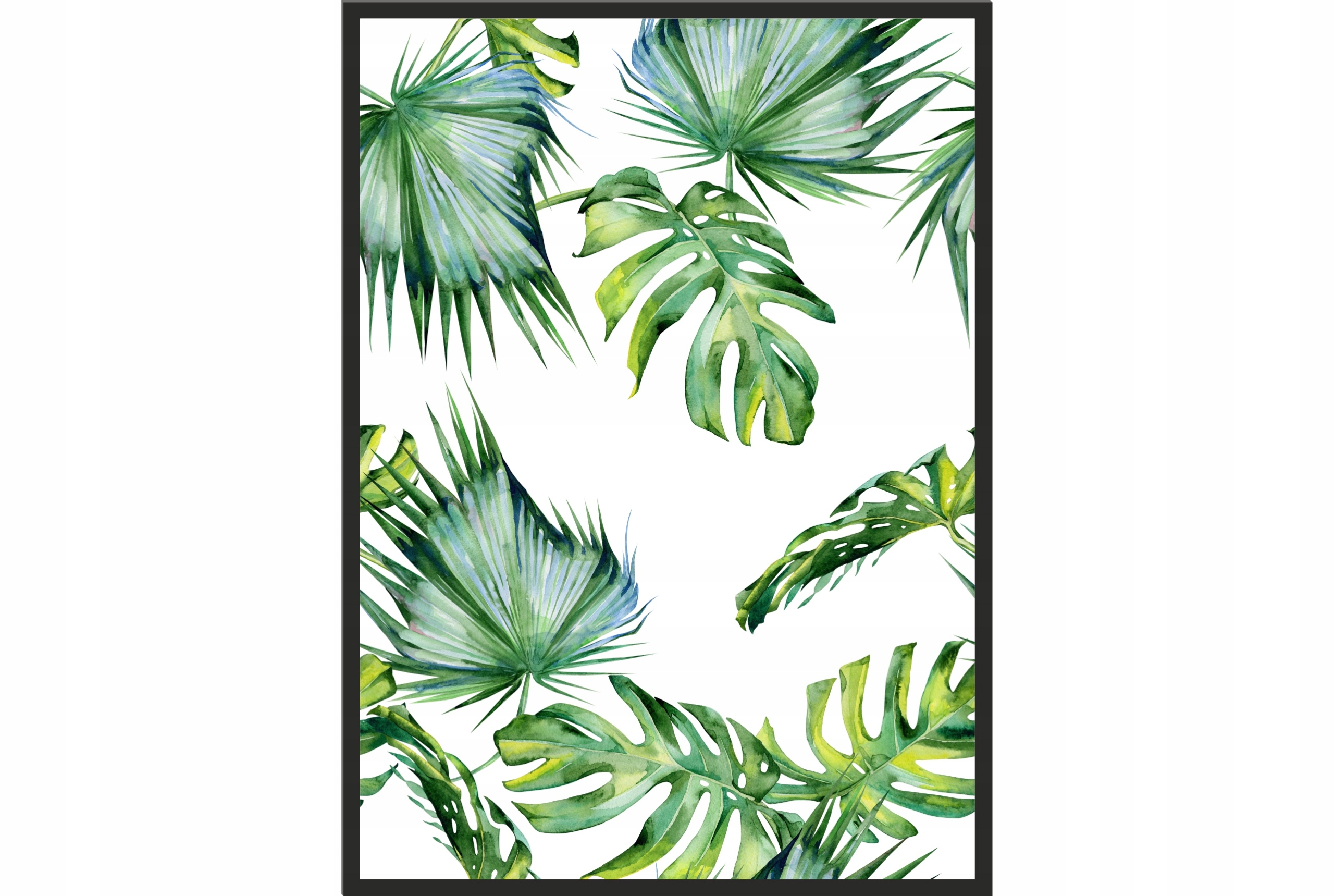 

Obraz plakat 70x50 liście monstera klimat dżungli