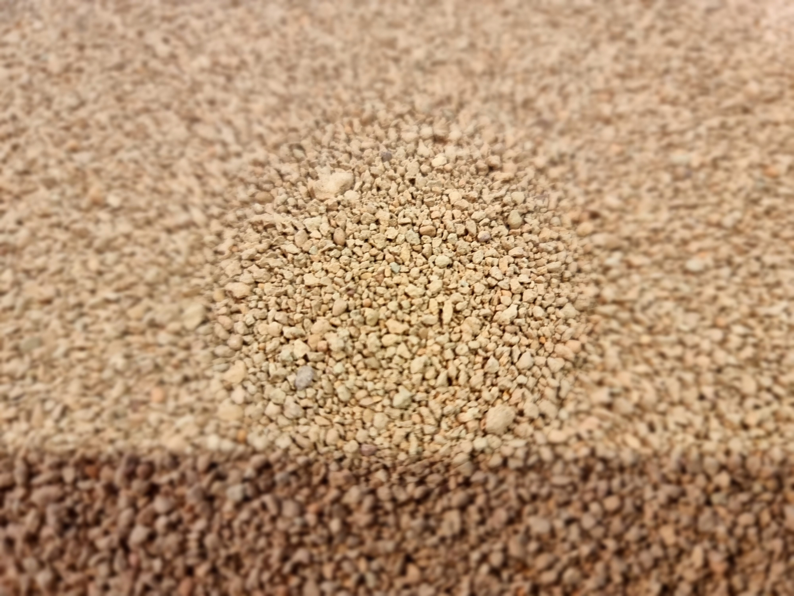 Diatomit, ziemia okrzemkowa, na owady, posypka, prażona - 5L