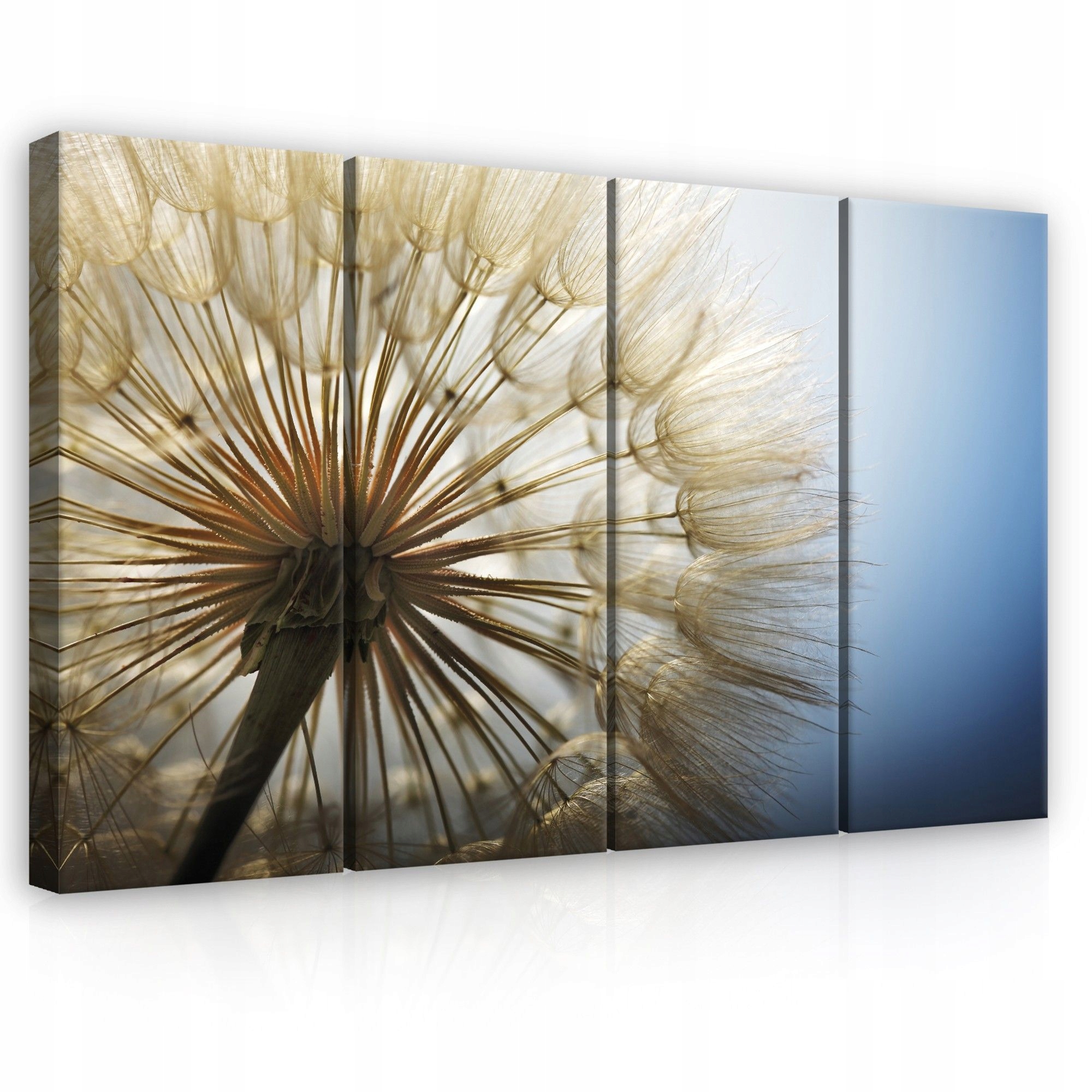 Obraz 120x80 Púpava lekárska semená páperie ľahkosť príroda pokoj spánok