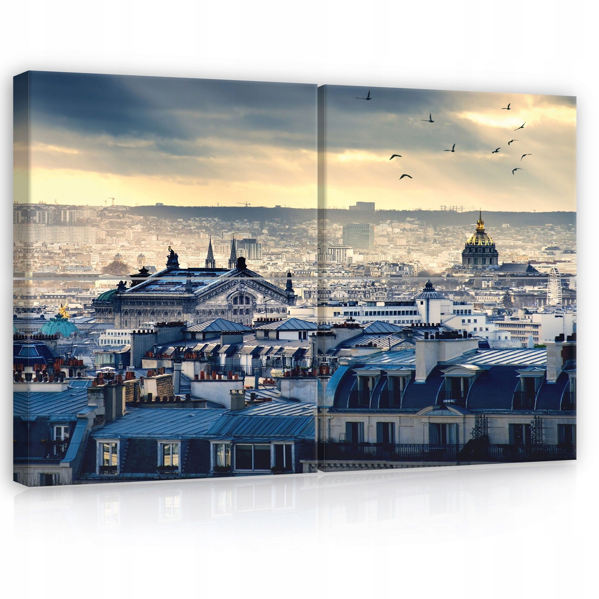 Obraz 120x80 Paríž Montmartre strechy krajina panoráma mraky vtáky Francúzsko