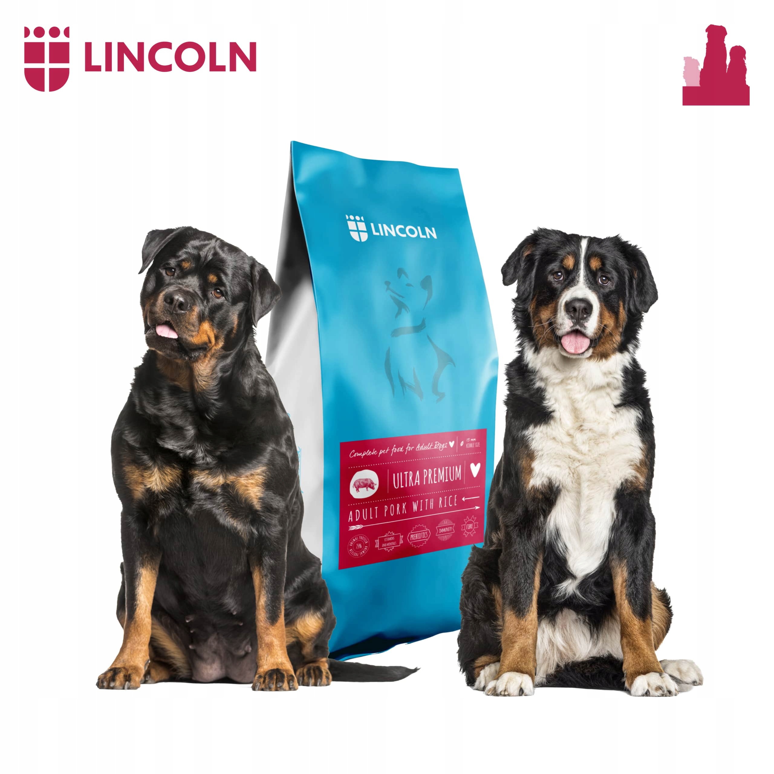 Levně Lincoln Suché Krmivo Pro Psa Vepřové Pork 12 Kg Ovčák Labrador Border
