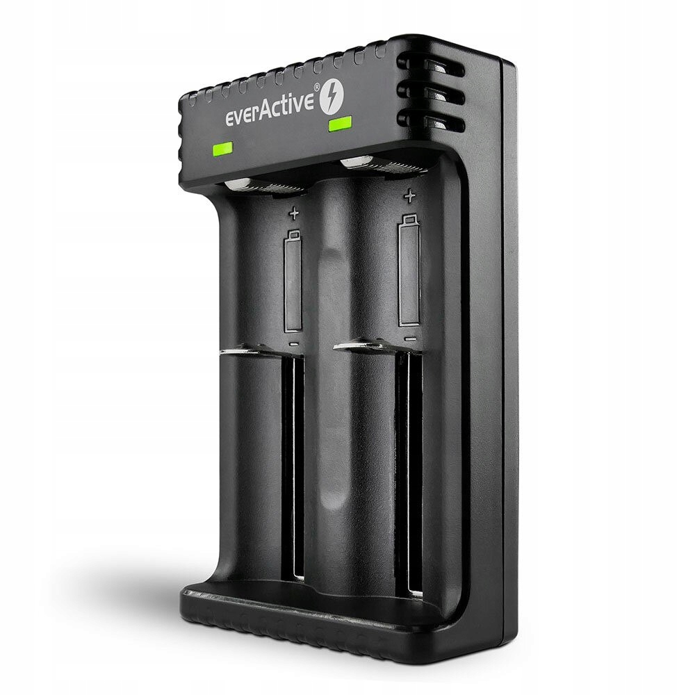EverActive Ładowarka akumulatorowa LC-200 do akumu
