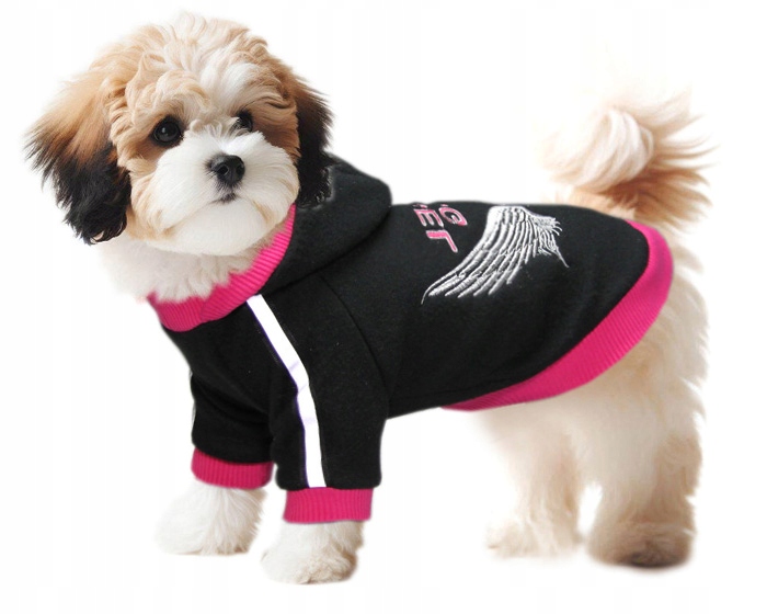 Levně Obleček pro psa mikina pro york maltipoo chihuahua špice miniatura