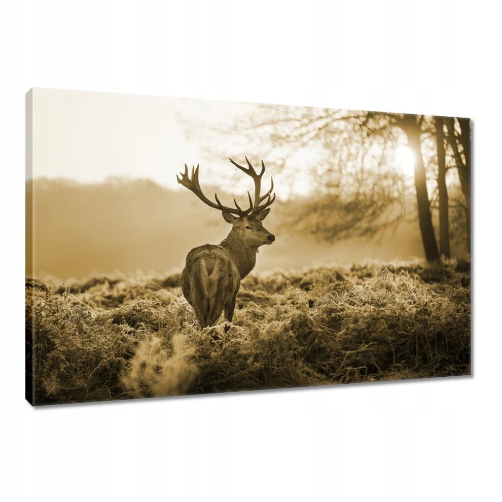 

Obrazy 120x80 Jeleń w lesie