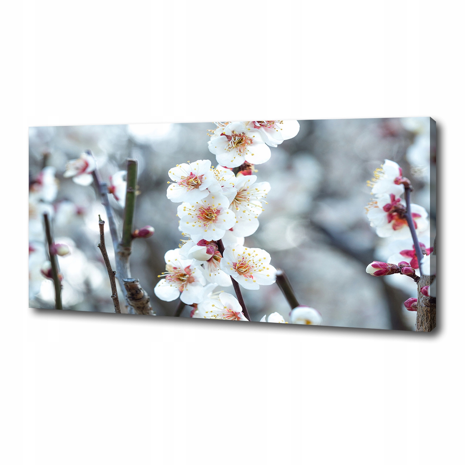 

Foto obraz duży na płótnie Kwiaty wiśni 125x50 cm