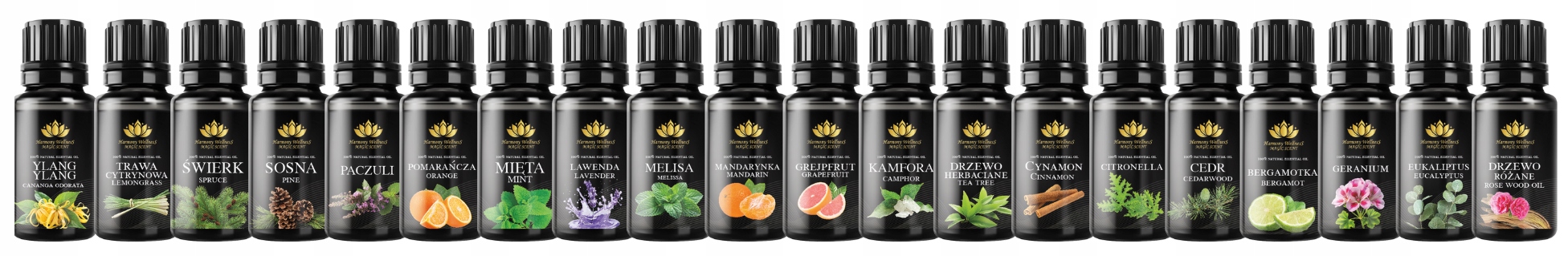 Olejek eteryczny- KAMFORA 30ml Kod producenta 3109