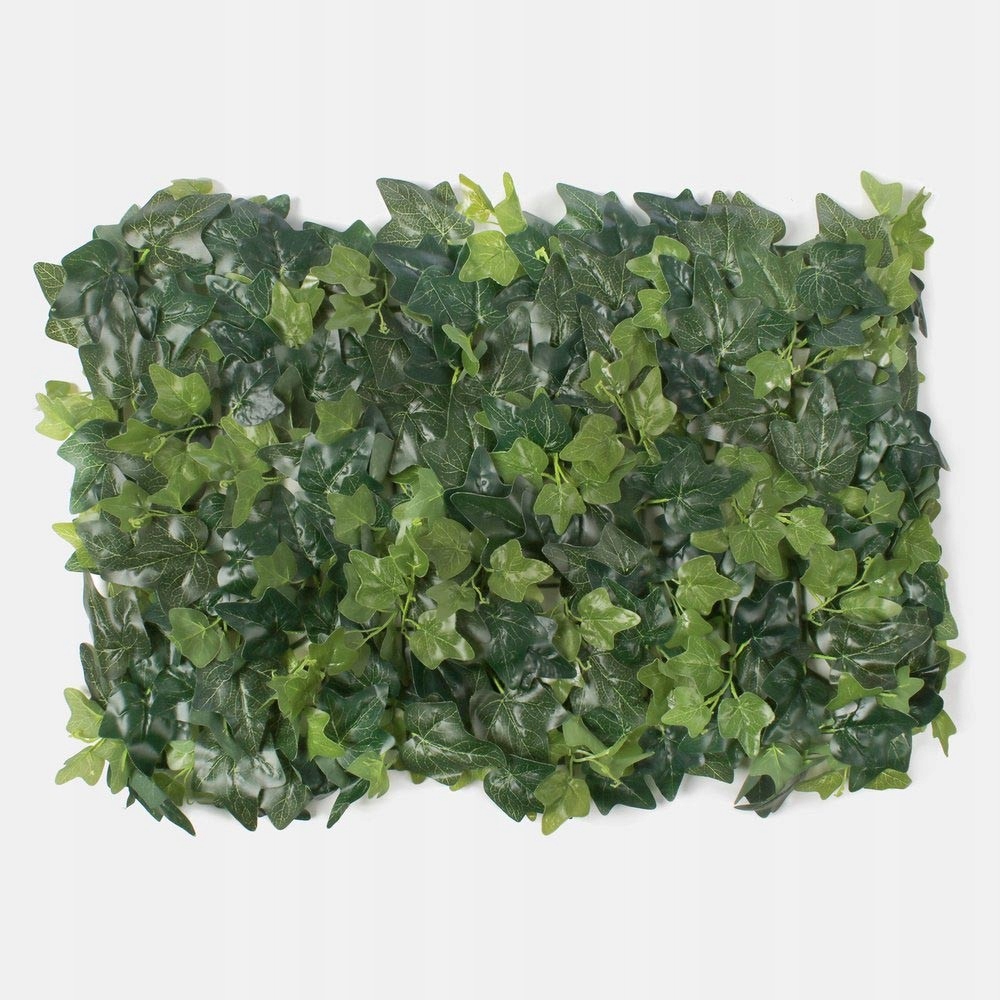 Levně Rostlinný panel 60 x 40 cm Rostlinný panel břečťan