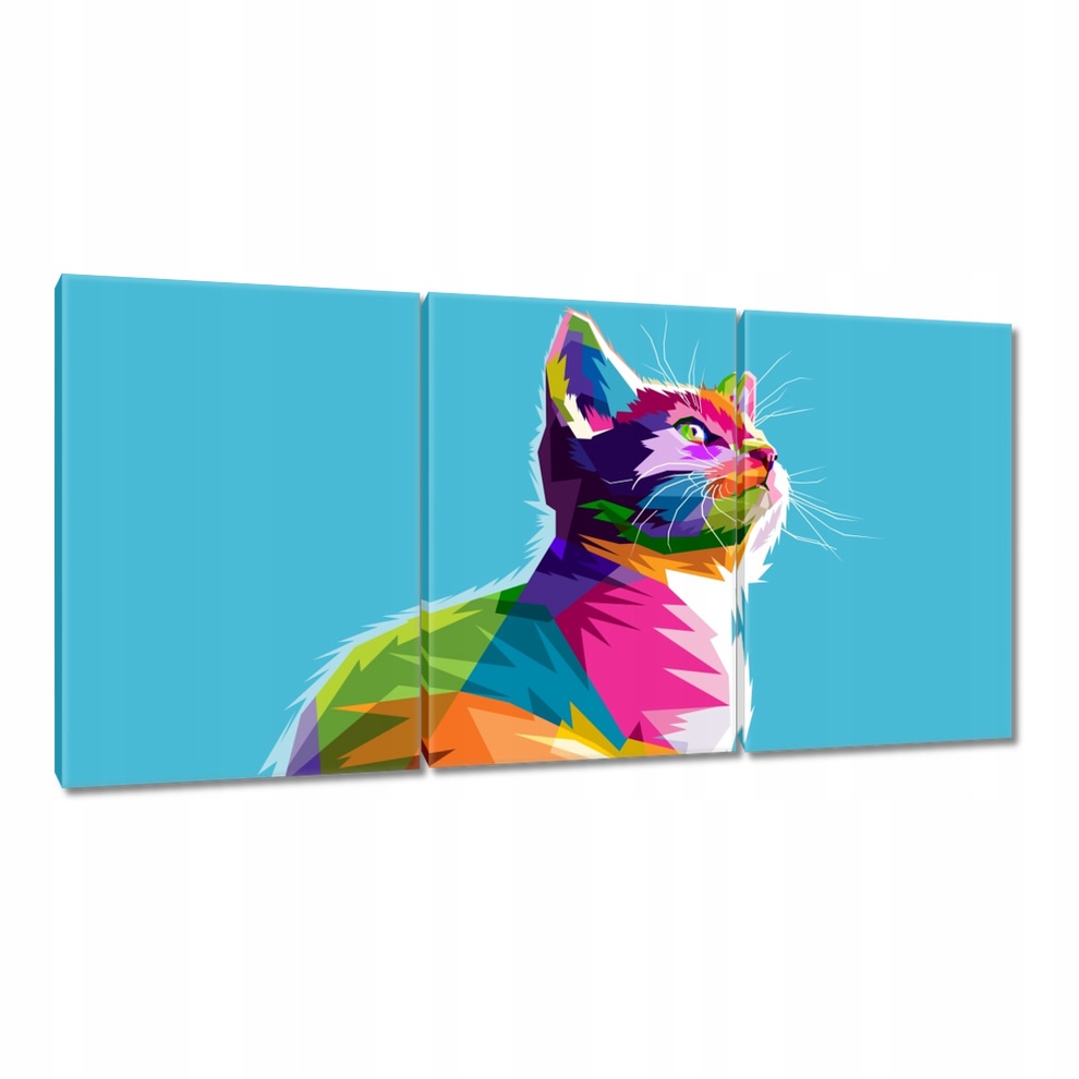 

Obrazy 120x60 Kotek Kotki Koty Kicia