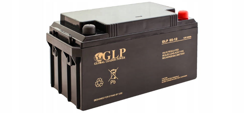 Akumulator Vrla Agm 12V/65Ah M6 Glp 65-12