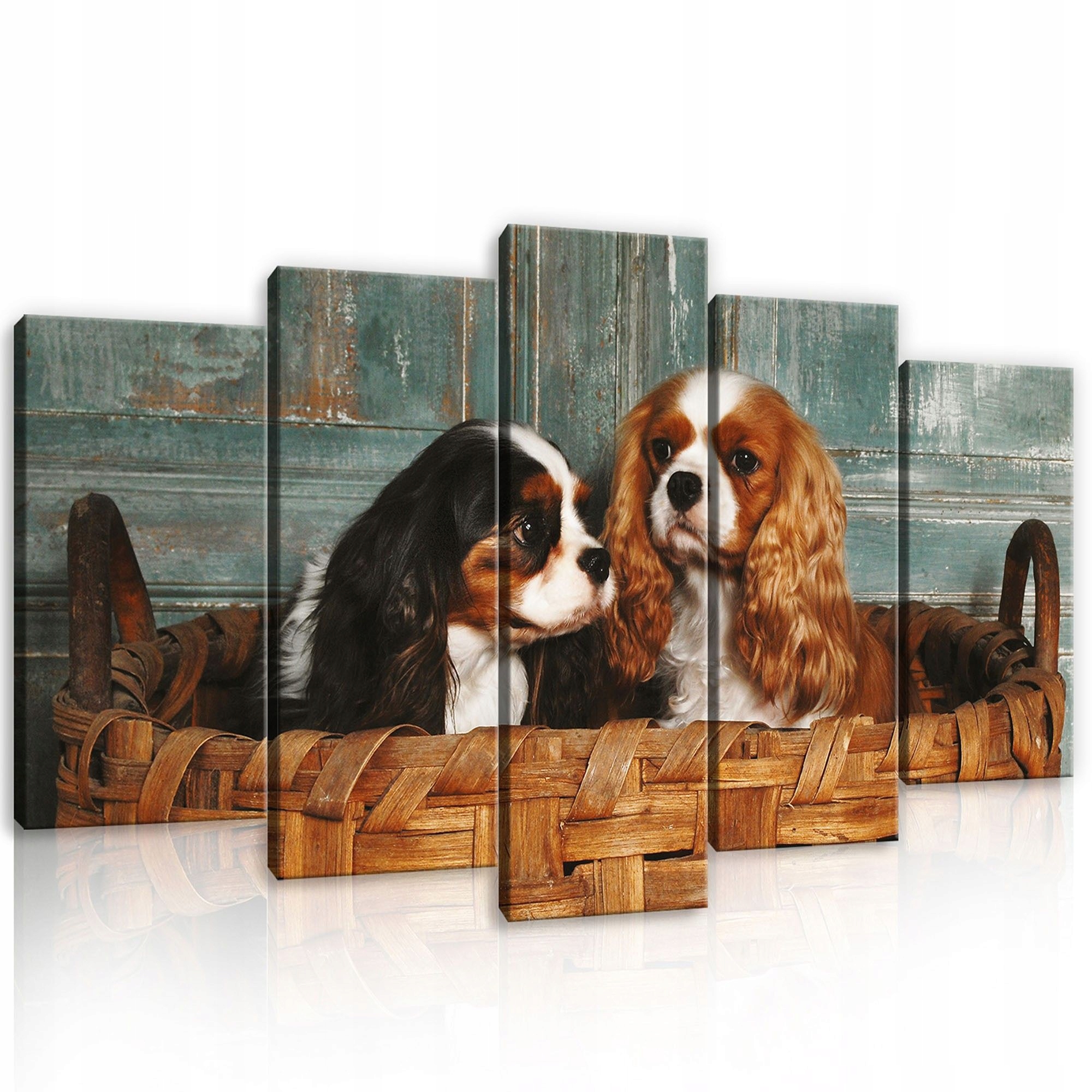 Obraz 100x60 Pejsci štěňat Cavalier King Charles Spaniel koš sladký