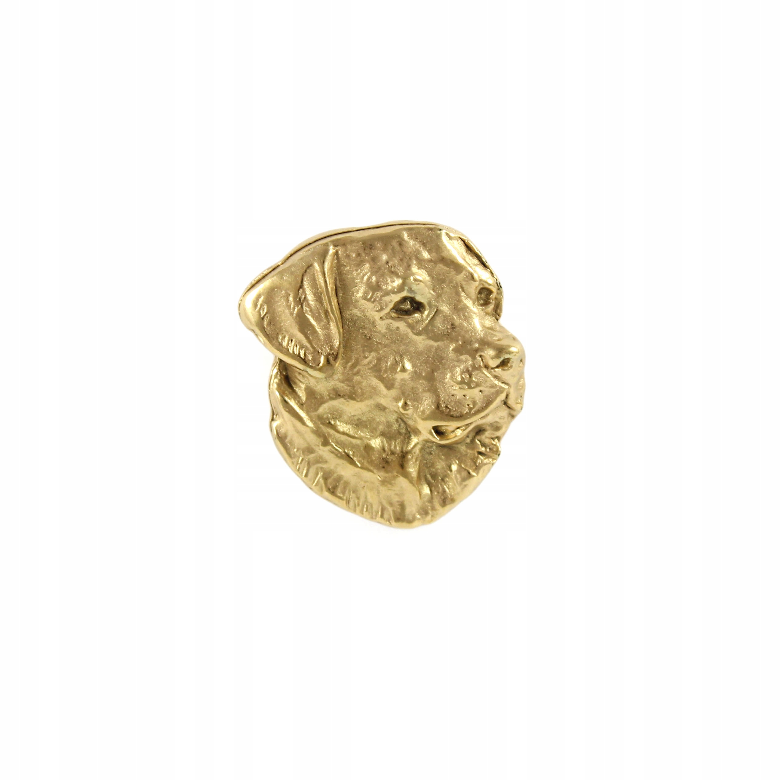 Labradorský retrívr s pozlacenou brož pin se psem, připínáček, pins