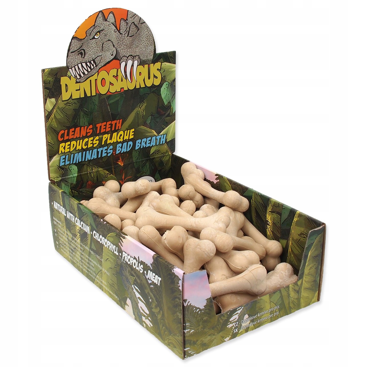 Levně Displej Kost Dentosaurus kalciová 8,5cm 56ks