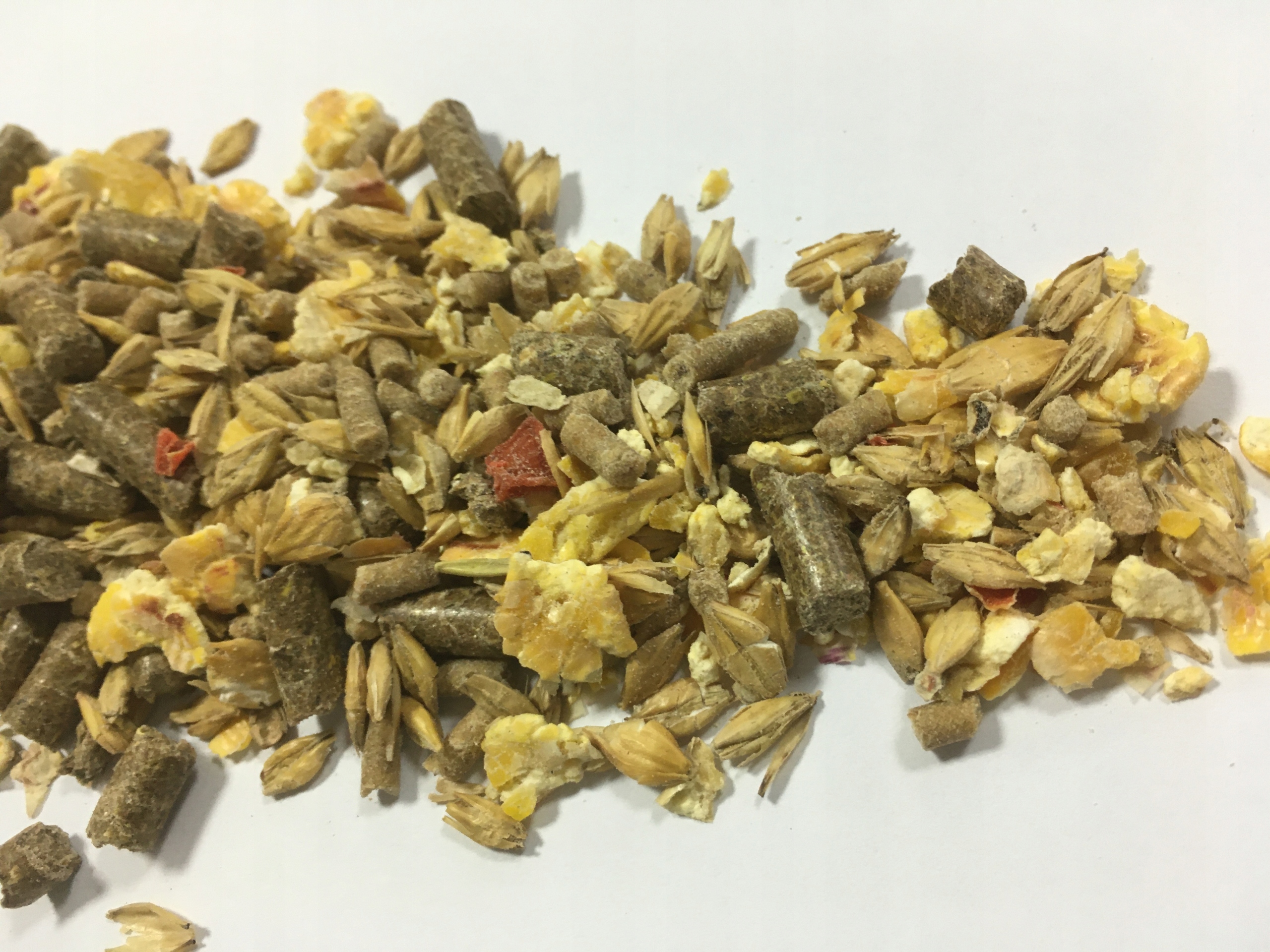 Pasza Musli dla koni bezowsowe 20 kg