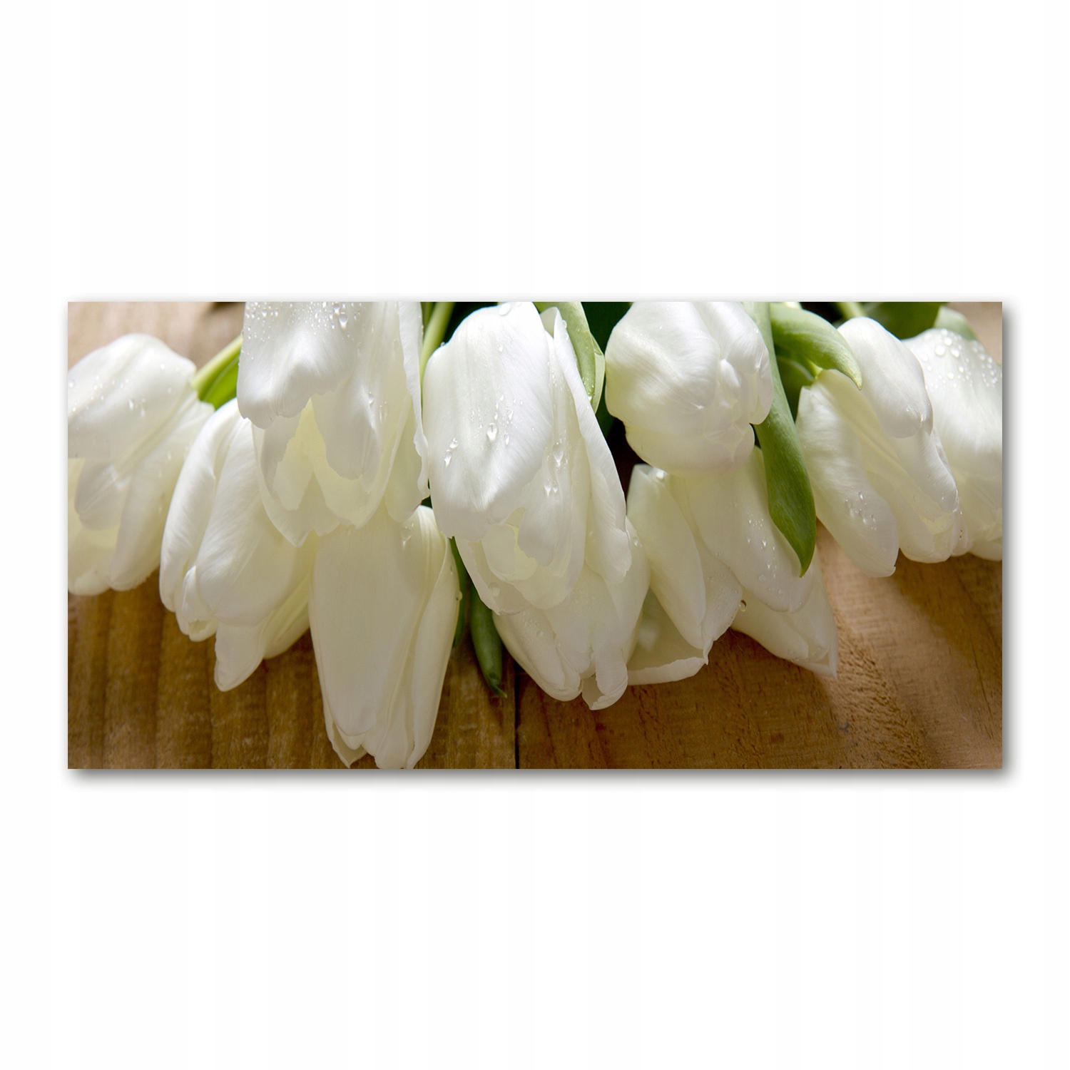 Foto obraz tvrzené sklo Bílé tulipány 140x70