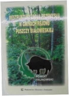 Restrukturyzacja przemysłu w gminach - 24h wys