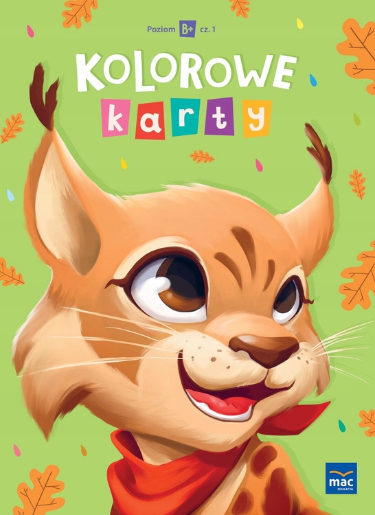 Kolorowe Karty Poziom B+ Pakiet Sześciolatek ISBN 9788382274745