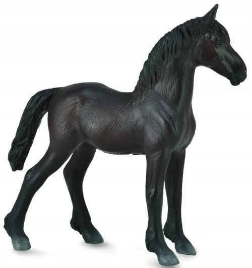 

Źrebię Friesian Foal Czarne