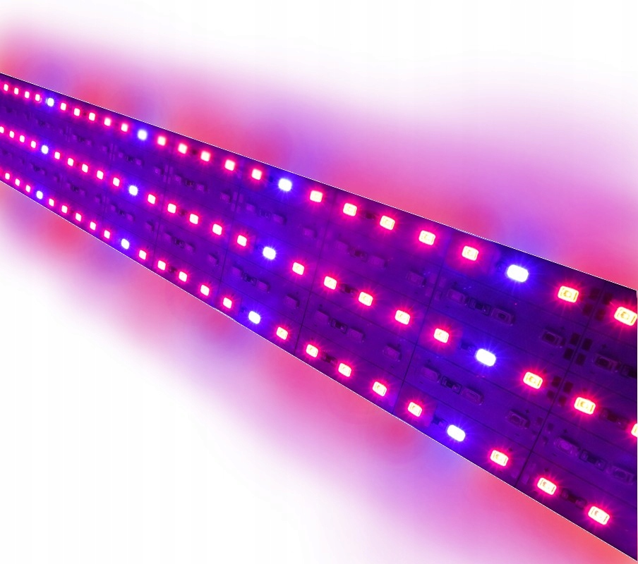 

Taśma Led Grow Pro 5630 5:1 do wzrostu roślin 0,5m