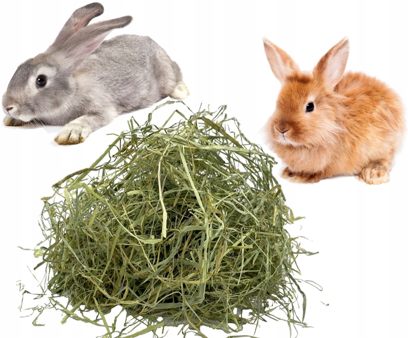 Nejlepší čerstvé seno od farmáře, 9 kg, seno vhodné pro králíky