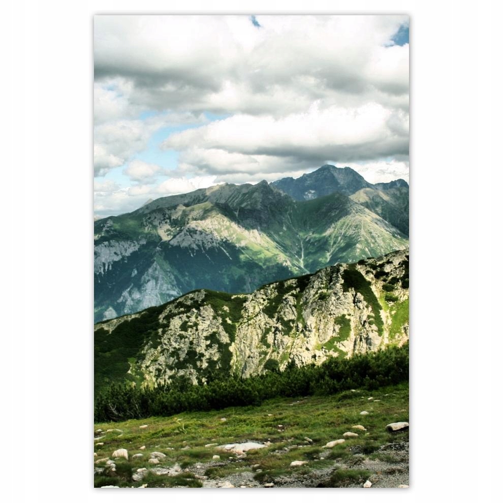 

Plakaty 40x60 Widok z Tatr