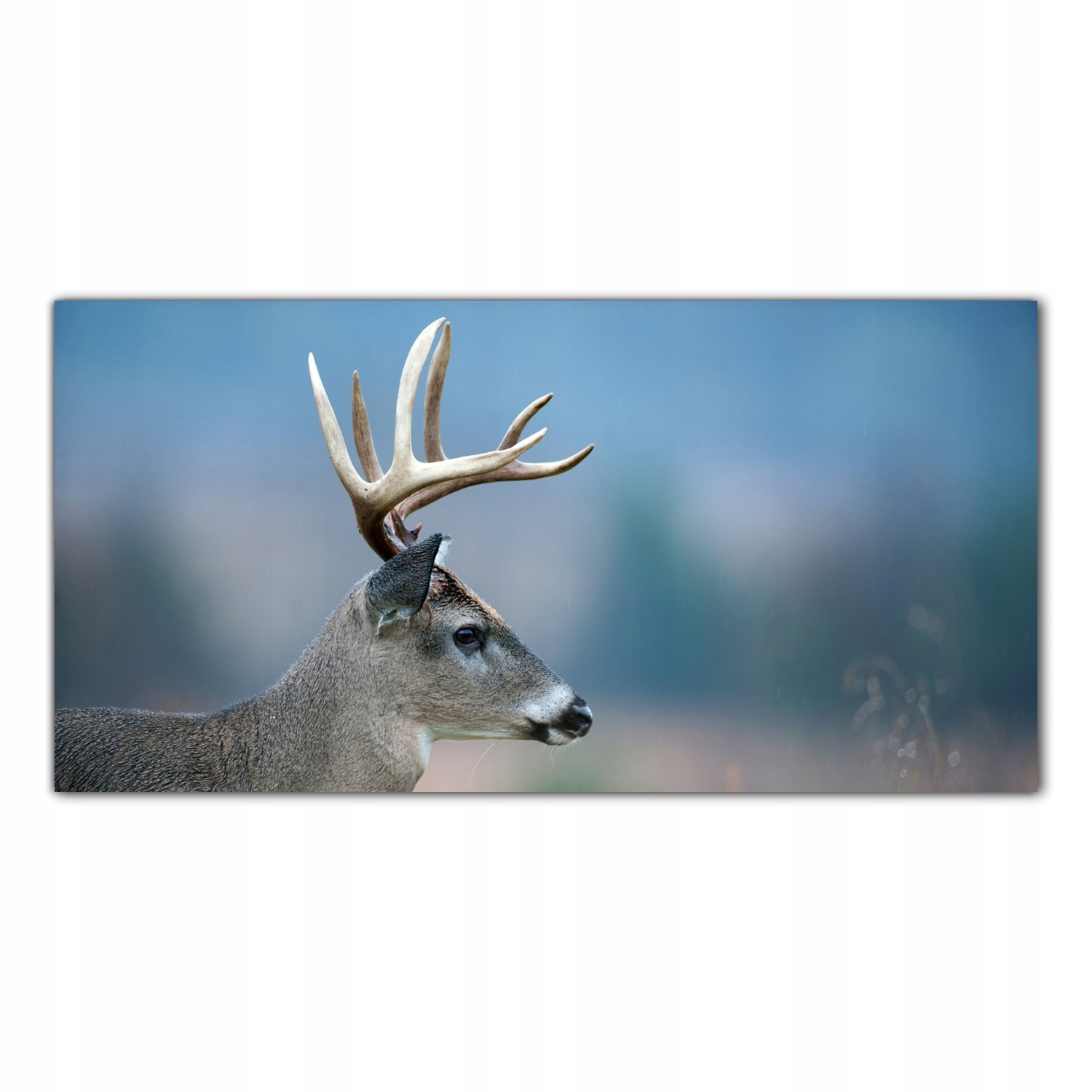 

Hartowany Obraz Szklany Jeleń Pole Zwierzę 100x50