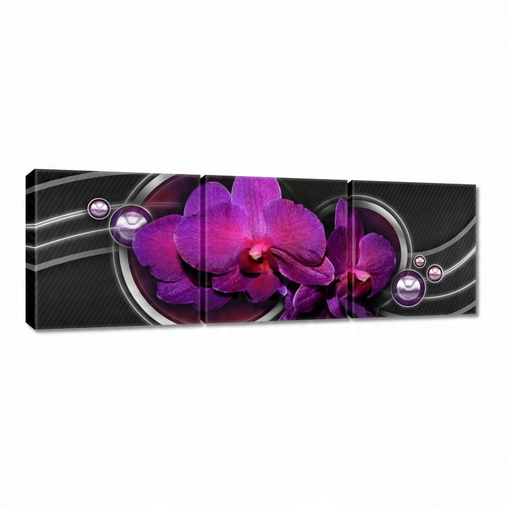 

Obrazy 60x20 Fioletowy oleander