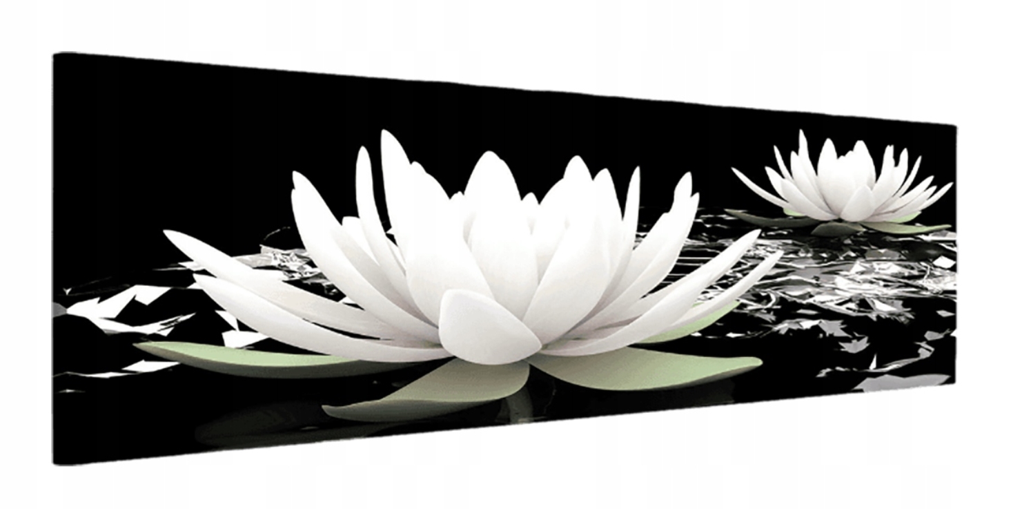 Obraz 145x45 Bílý lotos leknín klid harmonie meditace zen čistota