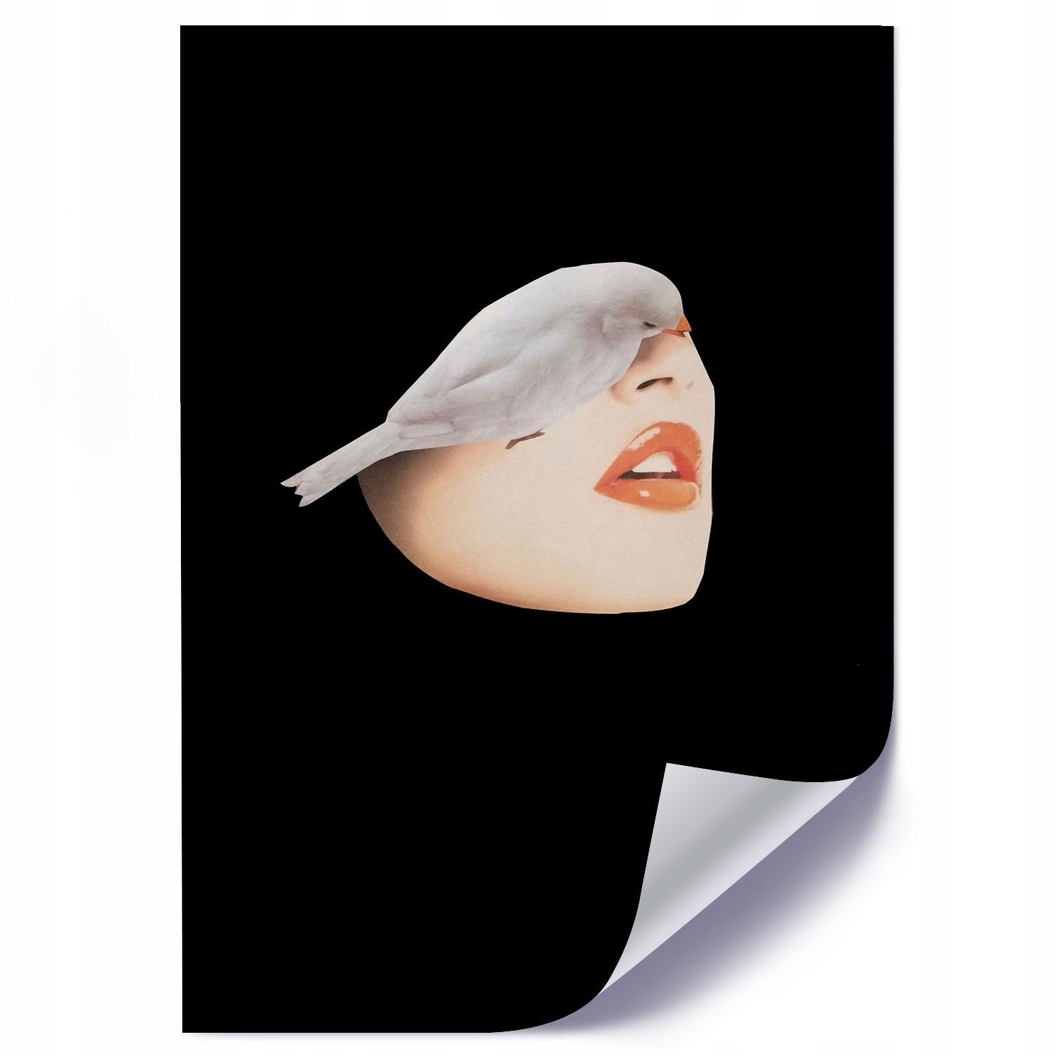 

Plakat Nowoczesny Do Pokoju Kobieta Ptak 70x100