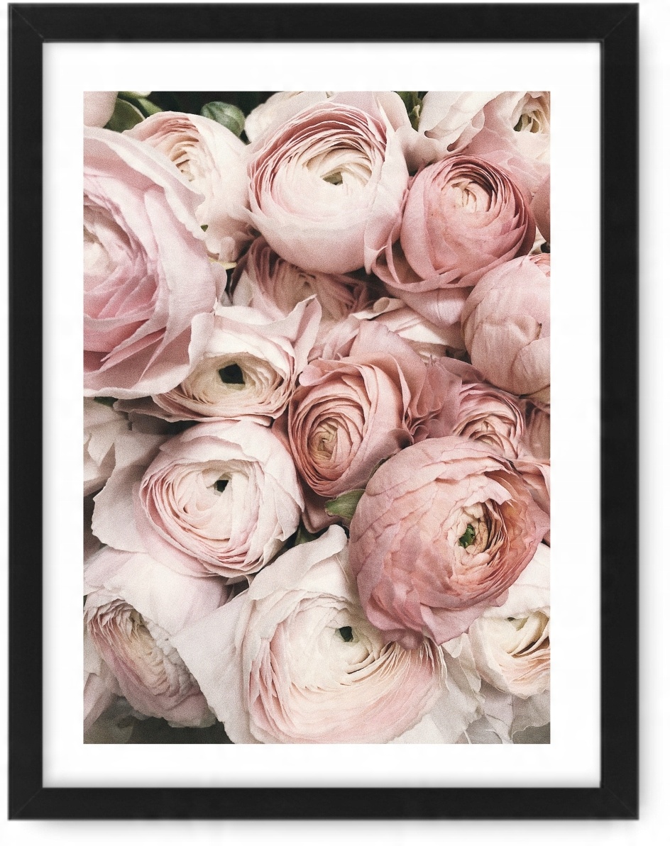 

Róże Obraz 33x43 plakat rama ikea #84