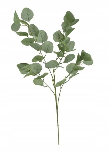 EUKALIPTUS GAŁĄZKA EUKALIPTUSA ZIELONA 90cm Marka Canea
