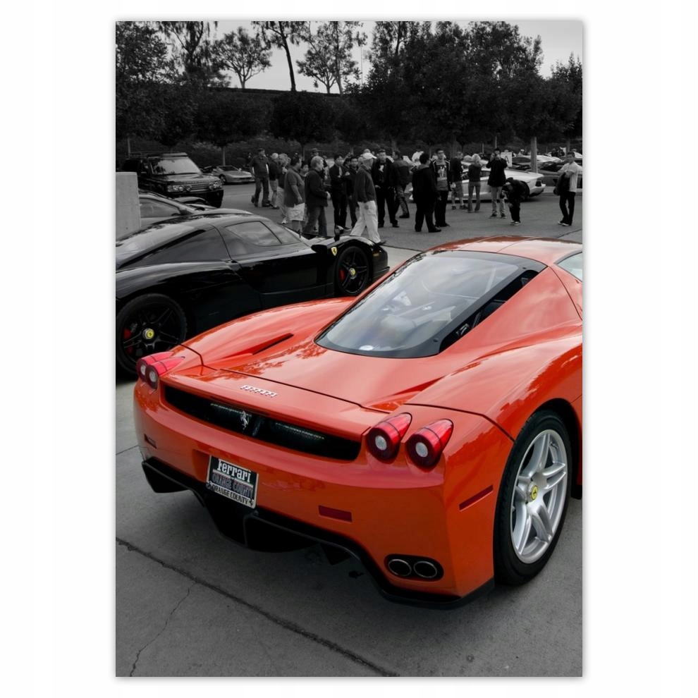 

Naklejki 50x70 Ferrari od tyłu