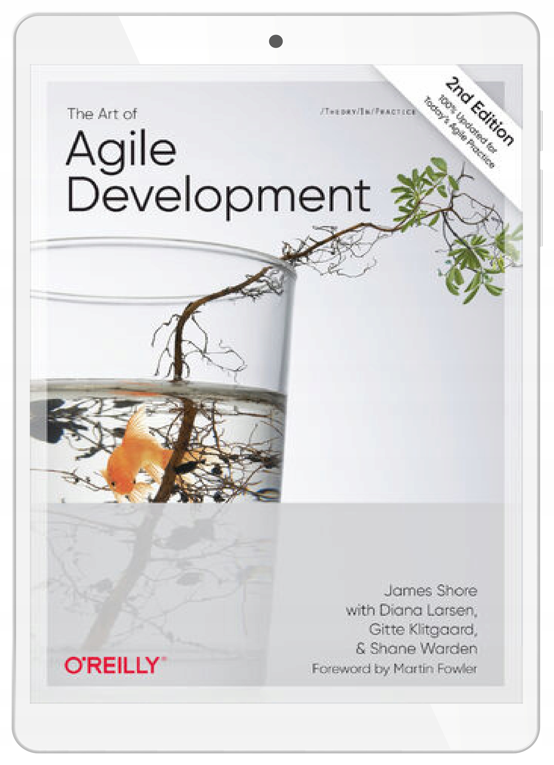 The Art of Agile Development. 2nd Edition