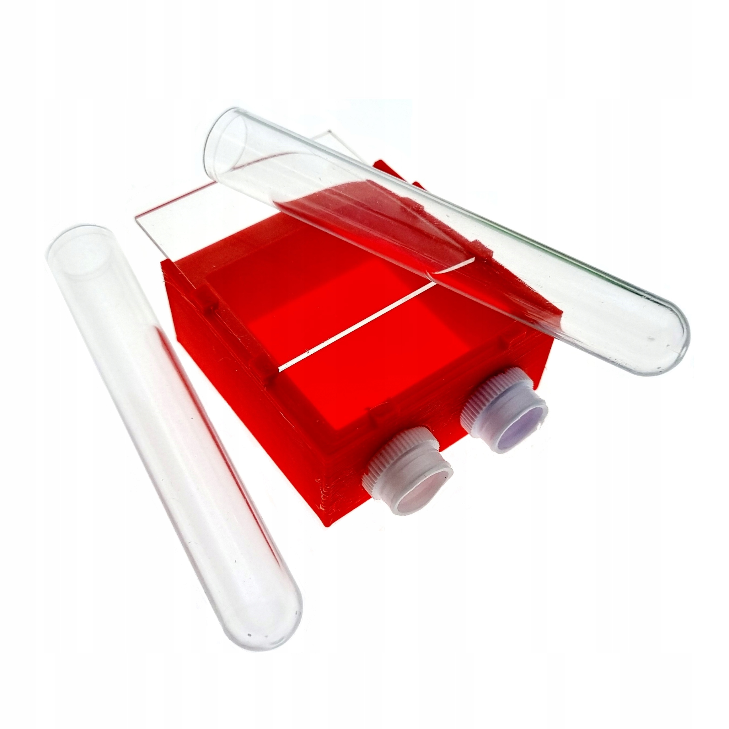 

[Mrówki] Arena 3D Czerwona 2 probówki Ps 16x100