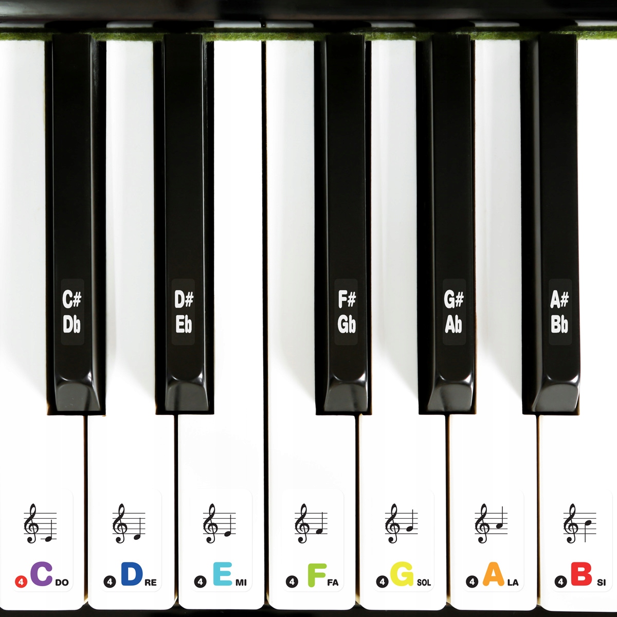 

Naklejki Keyboard, pianino transparent Laminacja