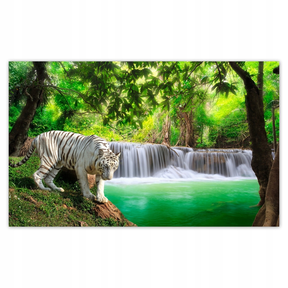 

Fototapety flizelina 416x254 przy wodospadzie