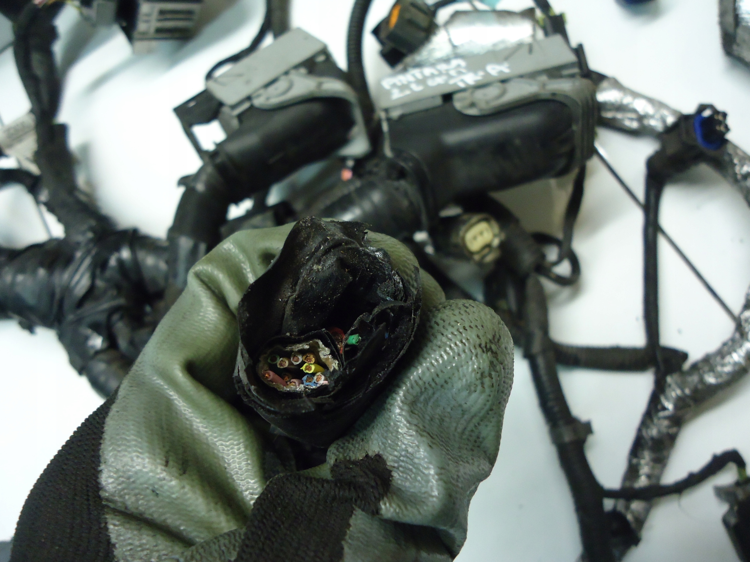 OPEL ANTARA 2.2CDTI bundle motor wiring