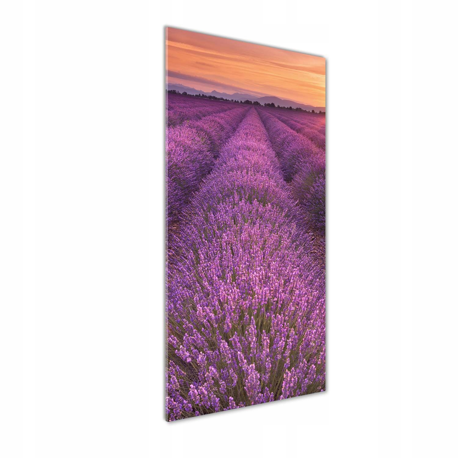 

Foto obraz szkło hartowane Pole lawendy 50x125 cm
