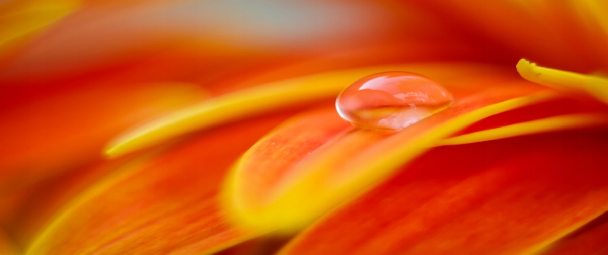 

Tapeta flizelinowa Kropla wody - 250x104