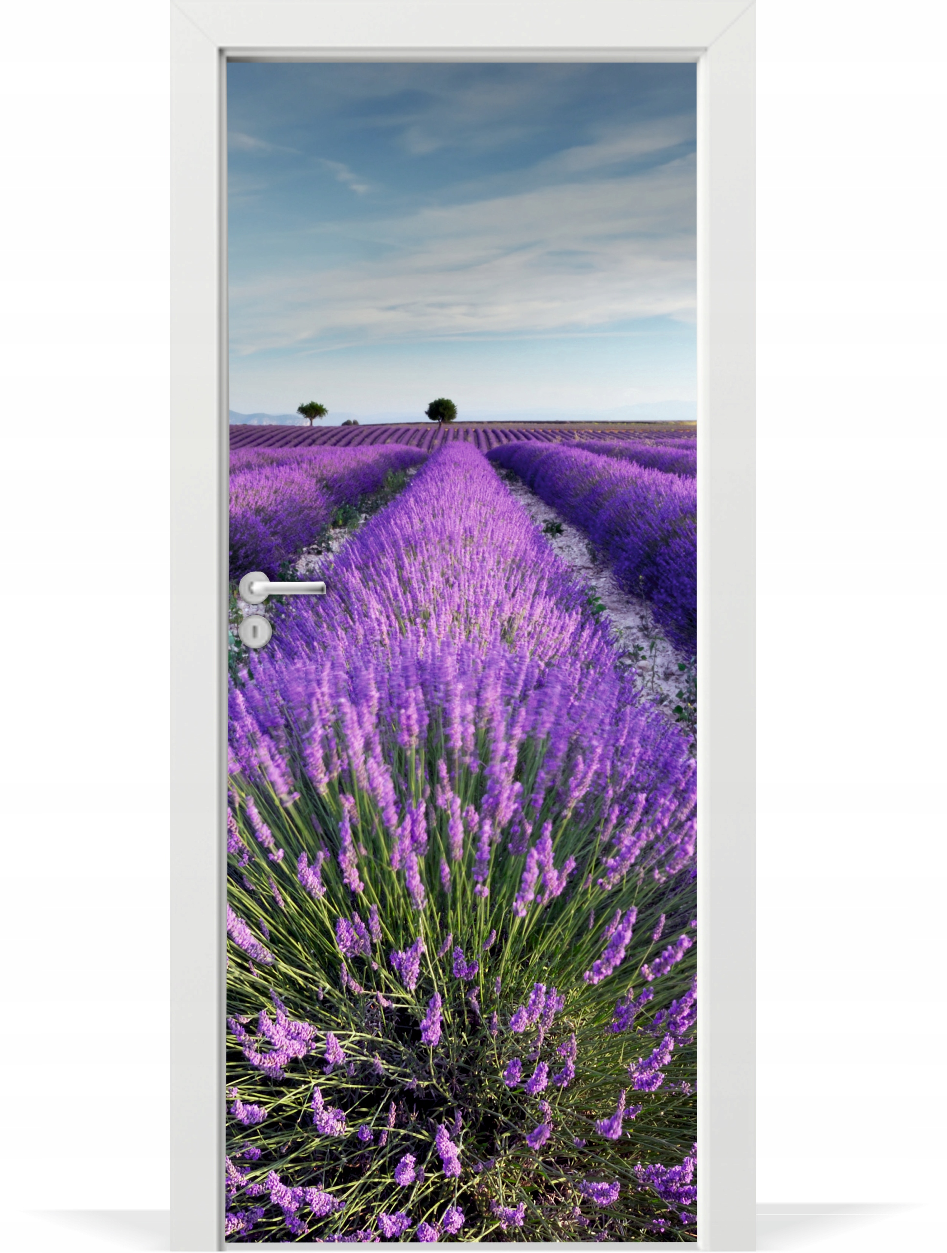 

Folia fototapeta na drzwi Lawendowe pole Prowansja