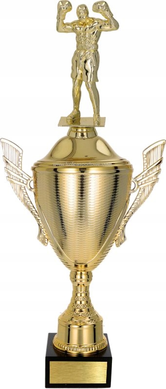 Krásný pohár s figurkou Boks 45 cm gravírování Bonus