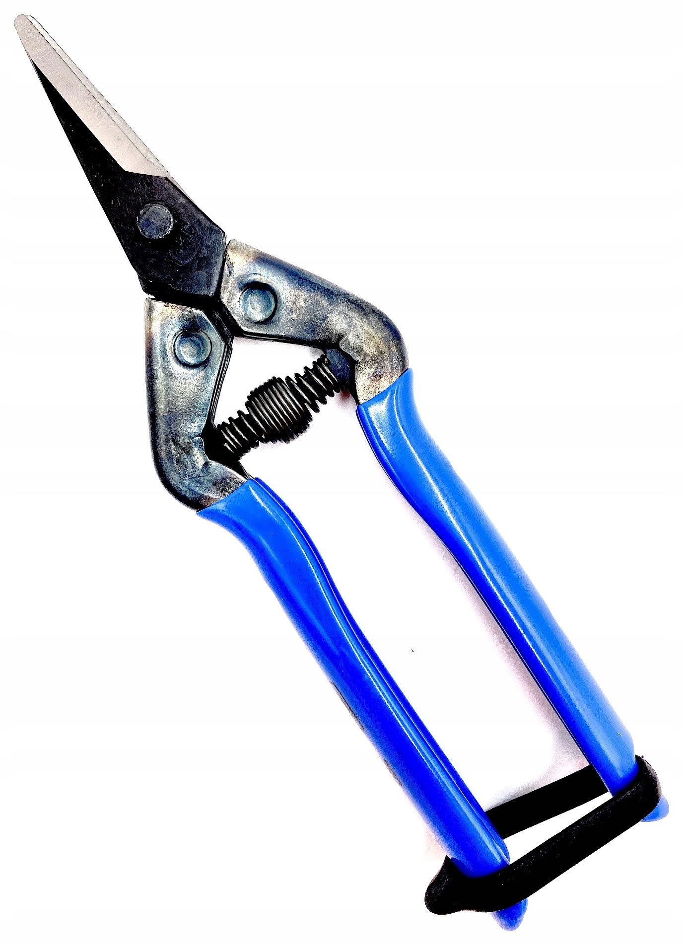 CHIKAMASA - T-5C - Sekator Niebieski