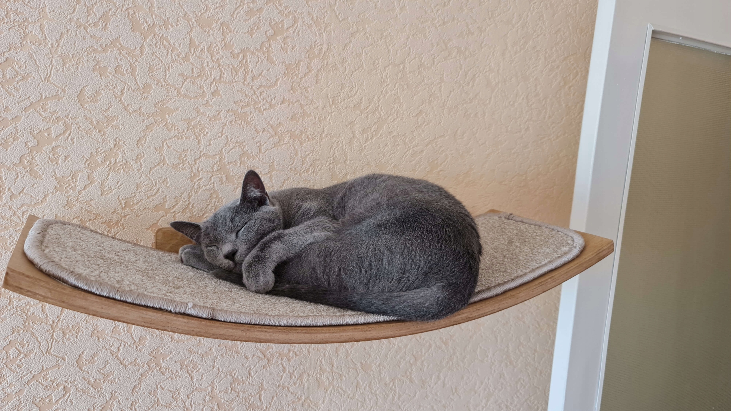 

Legowisko dla kota, meble dla kota, półka dla kota