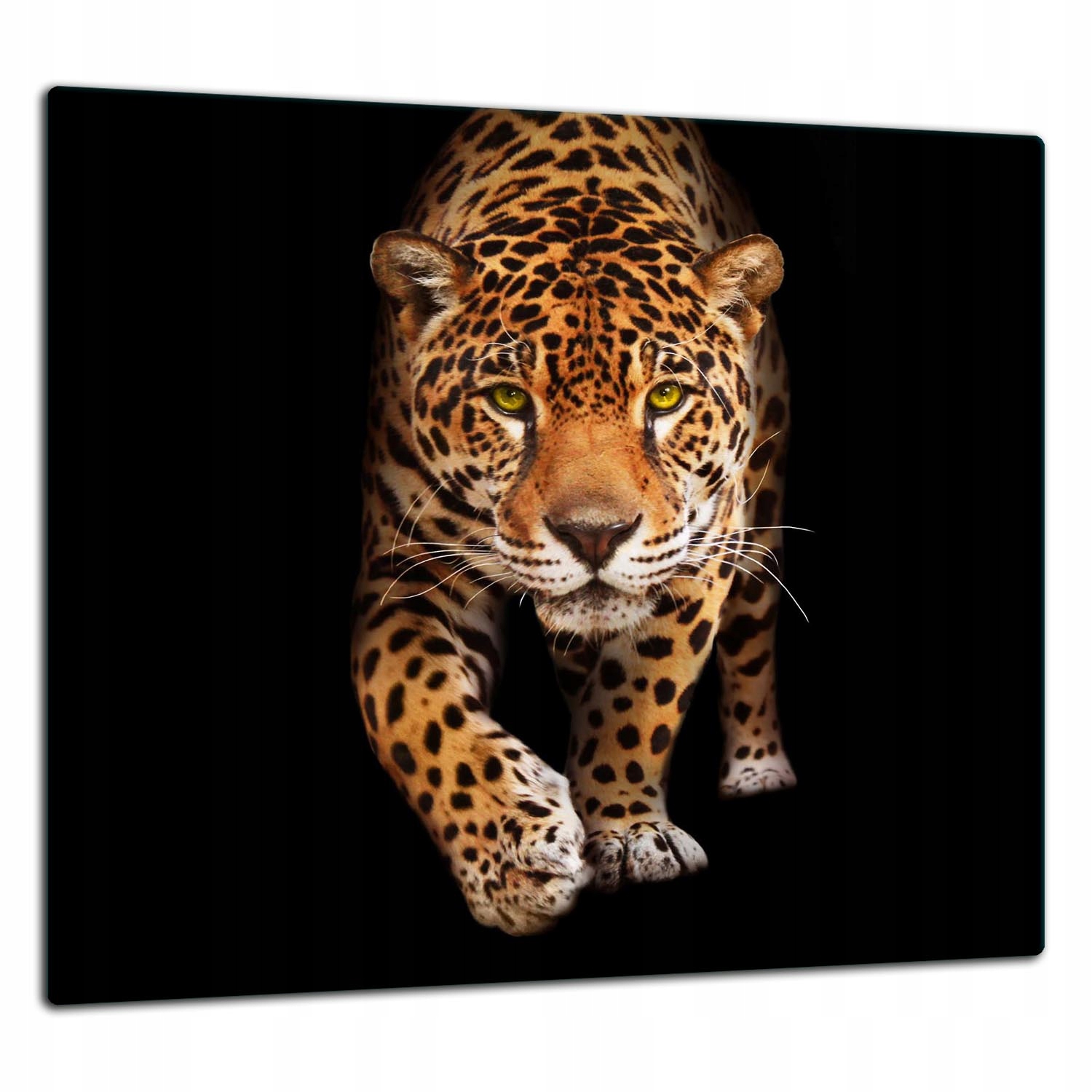Ochranná Skleněná Deska Panel Lepidlo 65x60 Kočka Tvrzené sklo 7v1