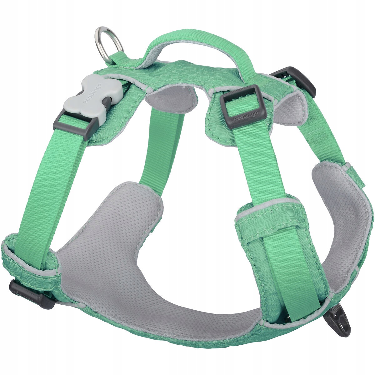 Red Dingo postroj Sport Pastel Green 20 mm x 47-64 cm