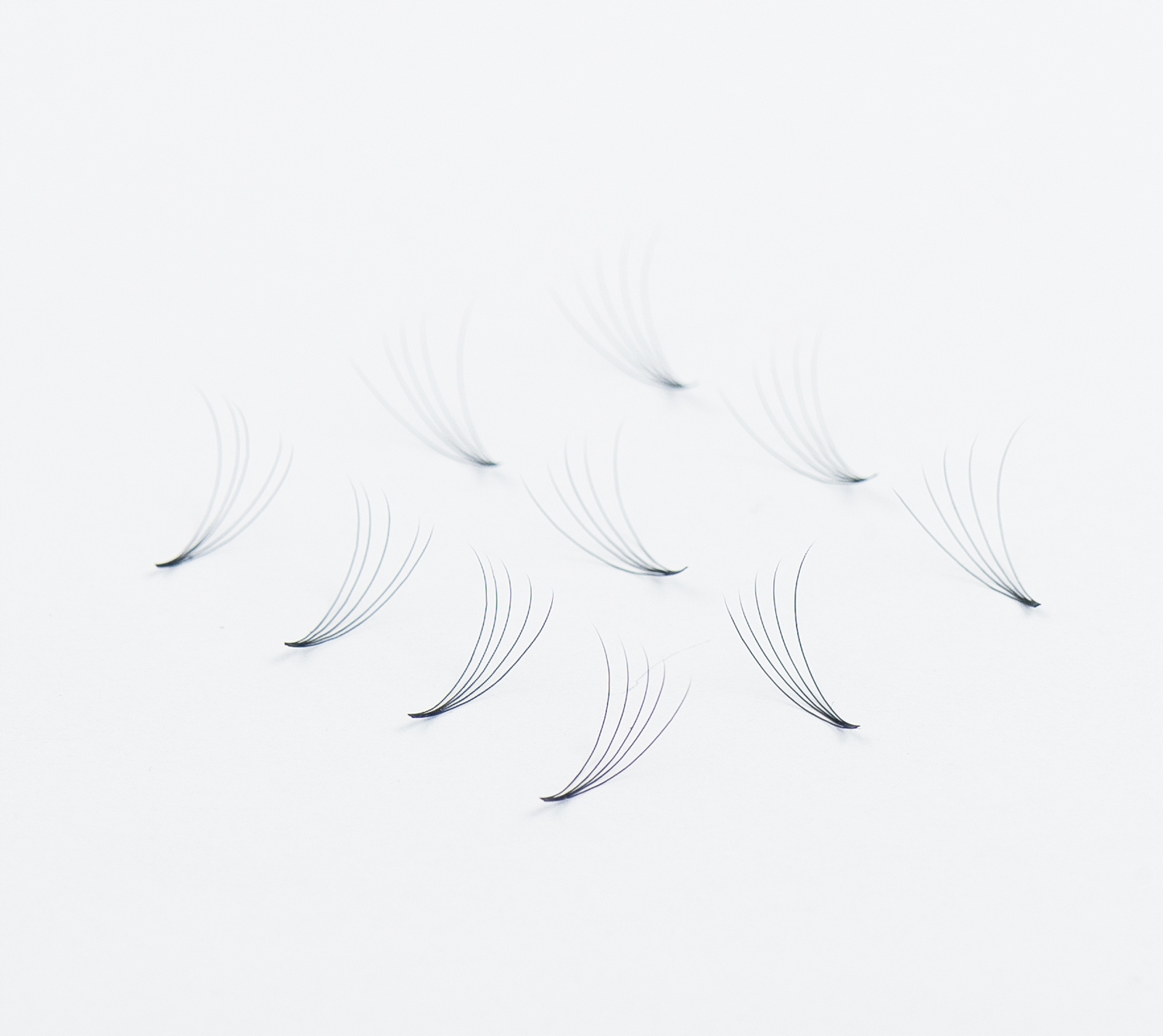 

Ekskluzywne rzęsy wachlarzyki 5D C 0,07mm dł. 12mm