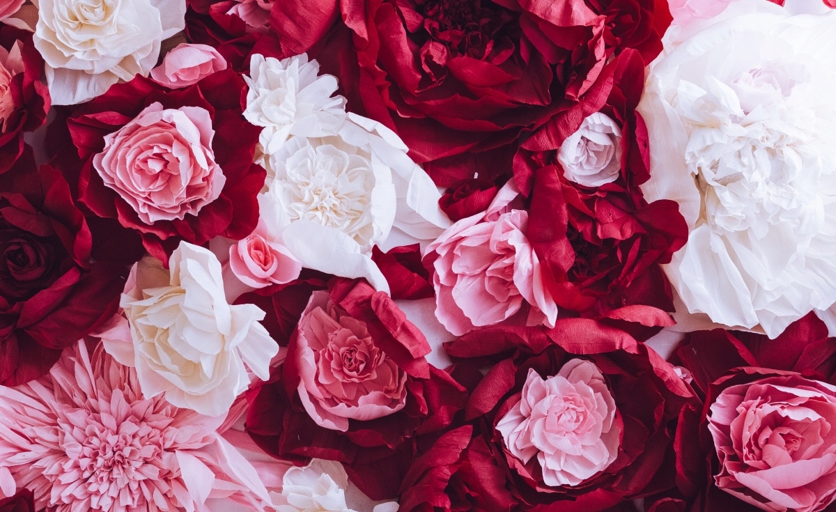 

Fototapeta Flizelinowa Papierowe róże - 416x254