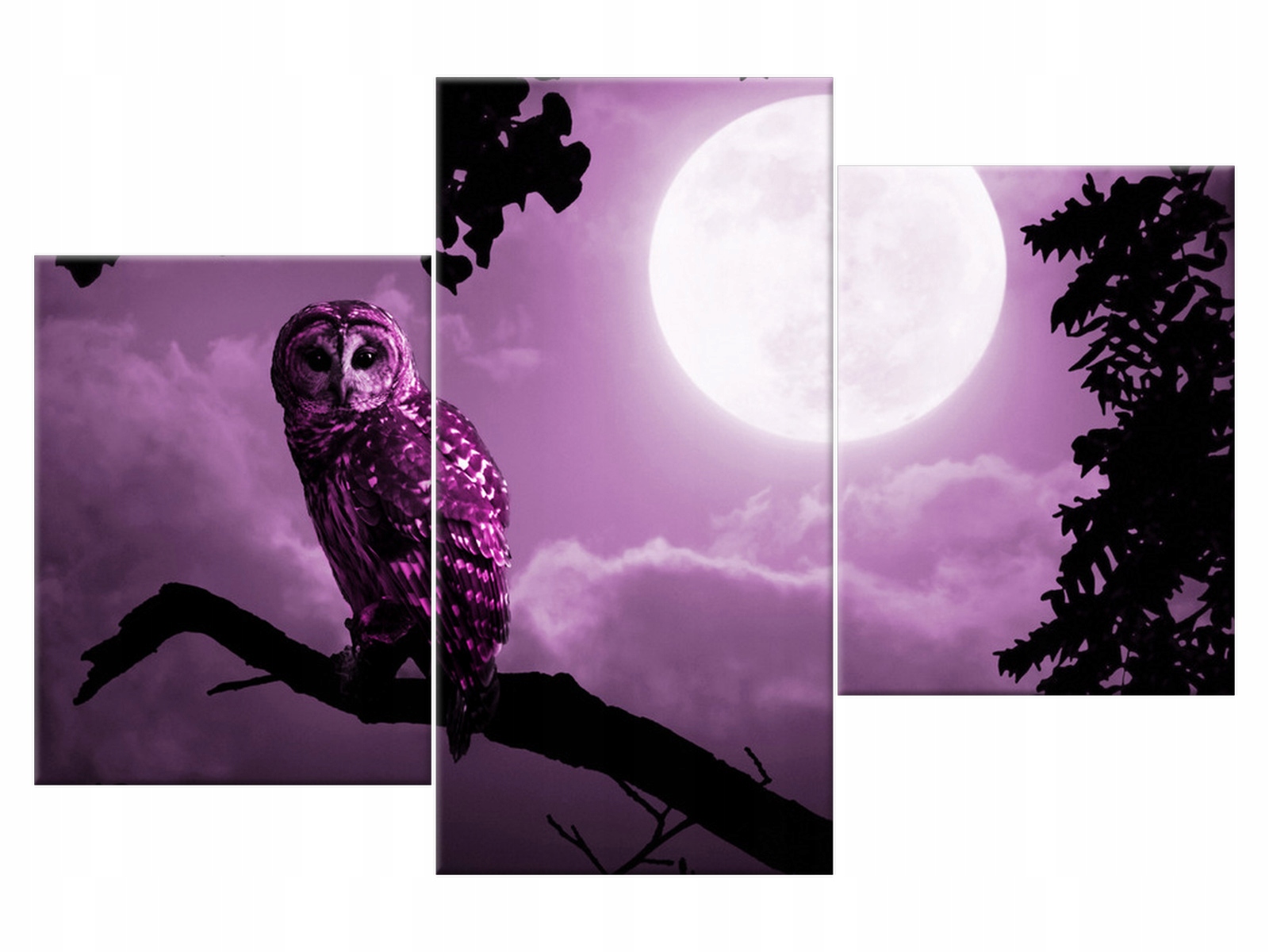 

Obraz Nocny pejzaż z sową 90x60 Sowa 2184A_3K